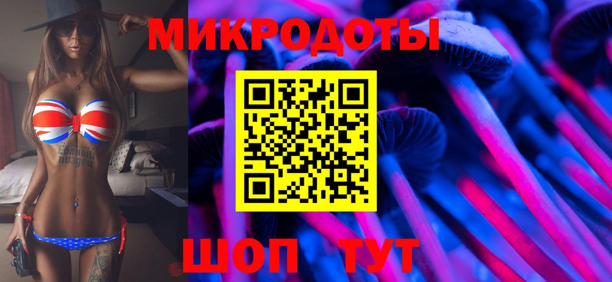 Галлюциногенные грибы Cubensis  Вход с VPN  Мончегорск 